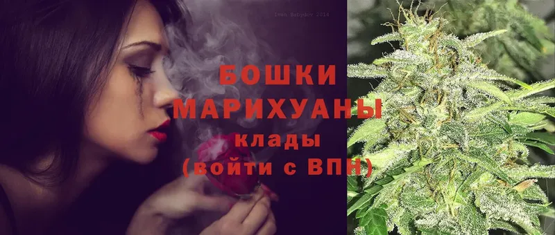 Каннабис OG Kush  Кисловодск 